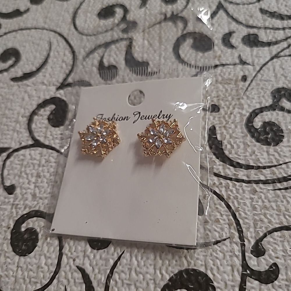 Snowflake Earrings 